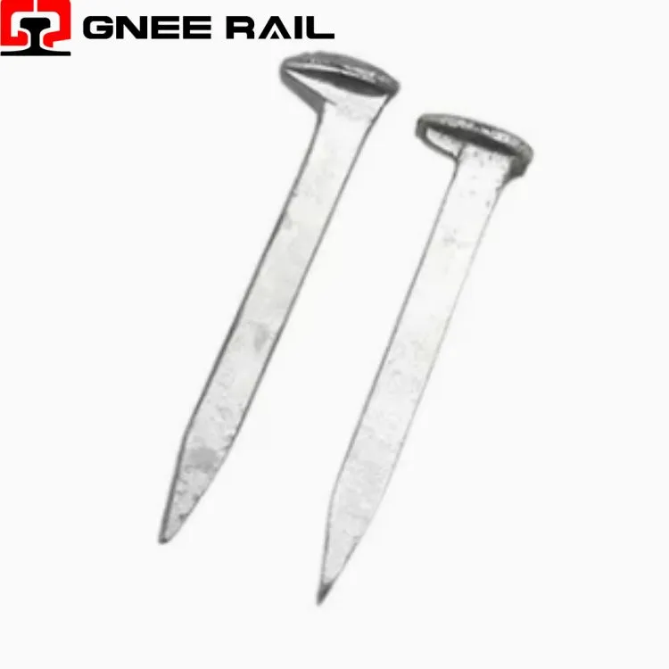 דגמים של כלב ספייק