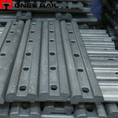 צלחת דגי רכבת